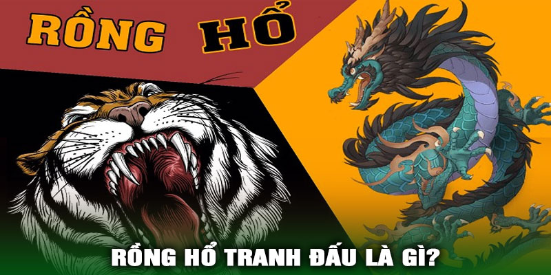 Rồng Hổ Tranh Đấu Là Gì?